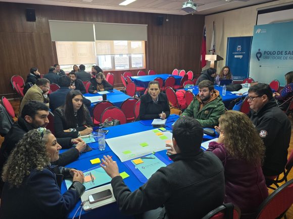 Polo de Salud Ñuble UBB avanza en la construcción del Ecosistema Regional de Salud incorporando a municipios